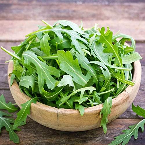 Organic ARUGULA Seeds - Leafy Green Salad Garden Seeds: MICROGREENS, Baby Greens 4 OZ