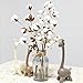 Coceca Cotton Stems - 3 Pack 10 Balls Per Stem - 23 Inch Farmhouse Display Filler-Foral Decoration