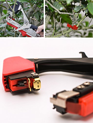 JOYOOO 2018 Newest vineyard tool Garden Vine Tying Tape Plant Tying Machine Agriculture Tapener Hand Tying Machine fix the vine plant such as tomato, cucumber, ect 10 rolls tape+1 staples +Tying Tool - Thumbnail 2