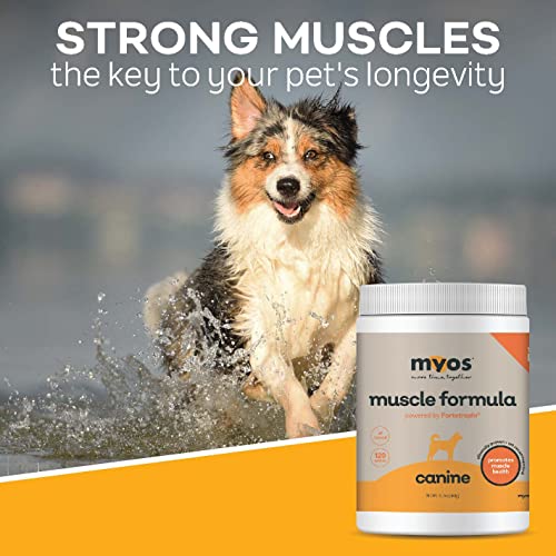 MYOS Canine Muscle Formula Clinically Proven AllNatural Muscle
