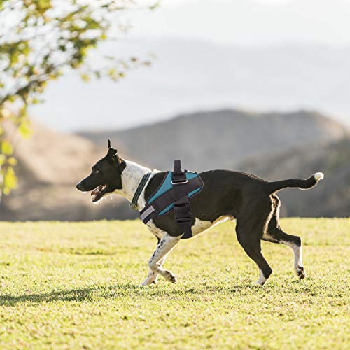 Bolux Service Dog Harness, Easy On and Off Pet Vest Harness, Reflective