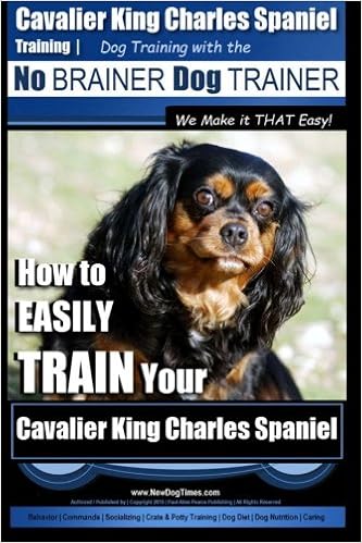 king charles spaniel training