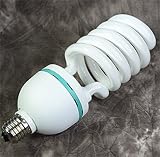 Fancierstudio 60W 5500K Compact Fluorescent Light