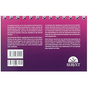 GUIAS PRACTICAS EN PRODUCCION PORCINA FISIOPATOLOGIA OVARICA EN LA CER