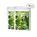 Naturevibe Botanicals USDA Organic Noni Fruit Powder (2lbs) (2 Pack of 1lbs Each) - Morinda Citrifolia
