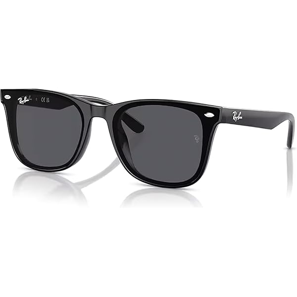 最終値下げ！Ray-Ban ORB4428F サングラス RB4428 Sunglasses in Black and Black - RB4428F | Ray-Ban® US