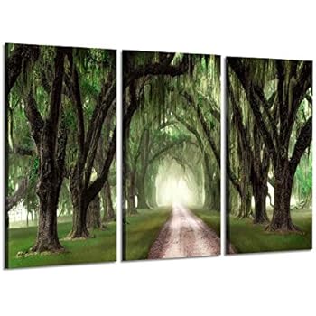 Forest Canvas Paintings Wall Art: Oak Tree Landscape Picture Artwork Print on Wrapped Canvas for Office (34'' x 20'' x 3 Panels)