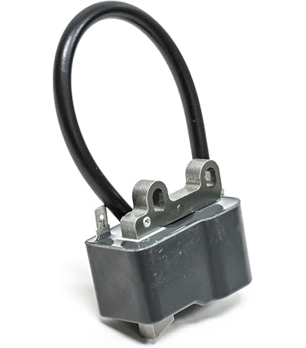 鍾 馗 Amazon.com: Echo / Shindaiwa 15660132632 Ignition Coil