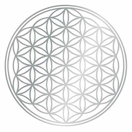 Kiwi Star Fleur De Vie Arbre Sticker Mural 20 X 20 Cm 90 Gris Argenté 6 Tailles