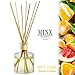 MINX Fragrances White Citrus Aromatherapy Oil Reed Diffuser Gift Set Clean Fresh Scent | Sparkling Citrus & Fresh Greens | Highly Fragranced Oil | Great Gift idea!