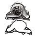 SCITOO Engine Timing Belt Kit Fits for 24312-39800 24810-35530 24450-35530 25100-39012 for Hyundai Santa Fe XG350 for Kia Amanti Sedona