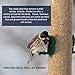 EasyGo Product White Millet Wild Bird Food – 50 lb
