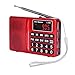 LCJ Portable FM AM Shortwave Multiband Radio Receiver with Micro TF Card and USB Driver MP3 Player USB Charging Cable 1000MAH Rechargeable Li-ion Battery (L-258-Red)