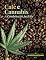 Livro Café e Cannabis. : A combinação perfeita