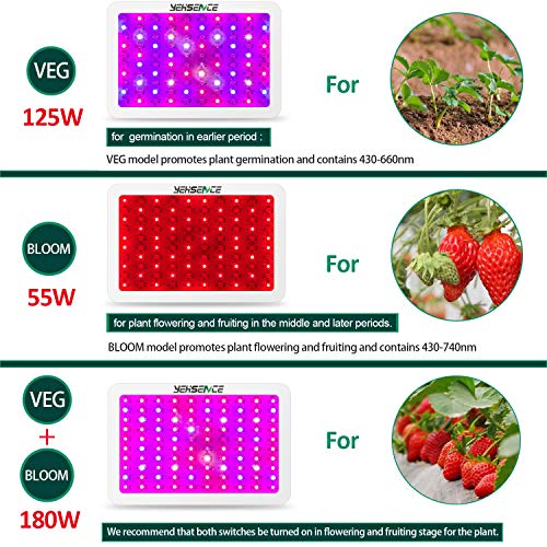 2 Spectrum+Yehsence+Growing+Fixtures+Replace