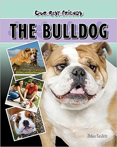 The Bulldog (Our Best Friends) �n�[�h�J�o�[ - 2010/3/1