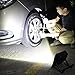 EverBrite LED Work Light Outdoor Portable Spotlight with Stand 800 Lumens Flood Light for Car Repairing, Workshop, Garage, Job Site, Garden, Lawn, Emergency Lighting
