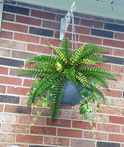Ollain Artificial Boston Fern Plants Bush Shrubs Fake Faux Fern Silk Fronds Plant Greenery Bushes Flower UV Resistant for Garden Indoor Outdoor Hanging Decor (28 Leaves)