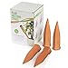 GLOUE Plant Water, Automatic Plant Water Devices for Vacation Plant Watering and Office Device. Plant Self Watering System for Plant Growing, 4 Pack