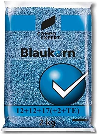 buchsbaum knstlich kaufen Knstliche Buchsbaum - Selina