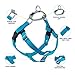 2 Hounds Design Freedom No Pull Dog Harness, Adjustable Harness and Leash Set, Easy Walking & Comfortable Control, Fits Small, Medium & Large Dogs, Solid Colors, Made in USA, 1