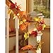 Collections Etc. Colorful Fall Lighted Decorative Harvest Garland with Leaves and Amber Lights