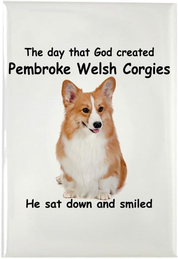 Imán rectangular CafePress Corgi - estándar Multi-color: Amazon.es: Hogar