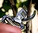 Anytime Garden Planted Perfect Planted Perfect Pruning Shears 8