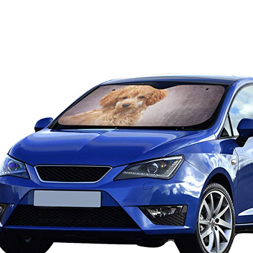 Car Sun Shade Drawing Illustration Red Toy Poodle Puppy Polyester&aluminized Film Cushion Fabric For Maximum Uv And Sun Protection Car Window Shades For Kids Foldable Keep Your Vehicle Cool 55x30 Inch - Thumbnail 3