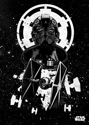 Displate Metal Poster: Star Wars Pilots - Tie Pilot - Large