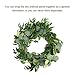 Outgeek 6.5' Long Artificial Eucalyptus and Willow Leaves Hanging Greenery Garland Artificial Vine Wedding Decorations Indoor Outdoor