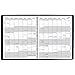 AT-A-GLANCE Monthly Planner / Appointment Book 2017, 15 Months, 9 x 11