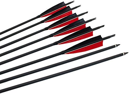 Archery sharly Carbon 31" Hunting Targeting Arrows,5" Black Red Feather Fletching Arrows with Replacement Screw-in Field Points for Recurve Bow (12 Pack)