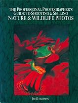 Staging Shakespearean Theatre: The Essential Guide to Selecting; Interpreting; Producing and Directing Shakespeare