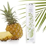 Organic Facial Cleanser & Exfoliating Face Scrub - Luxury Natural Exfoliating Scrub (Polish + Resurface) - Certified Vegan, Cruelty Free & Organic Face Exfoliator (4 Oz) by Planted in Beauty