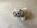 [New Version] CocoPet Adorable Dog Goggles Pet Sunglasses Eye Wear UV Protection Waterproof Sunglasses for Puppy Dogs Small Medium White