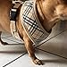 Ringloose No Pull Dog Vest Harness - Soft Mesh for Small Medium Dog Puppy Pets Easy Control Handle for Walking Training