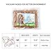 Gimilife Dog Lion Mane, Dog Costume Lion Mane Wig Halloween Costumes for Medium Large Dog with Ears & Tail, Fancy Lion Hair Dog Clothes Holiday Party (L Size,Light Brown)