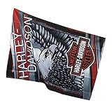 Harley Davidson Garden Flag - American Eagle Logo