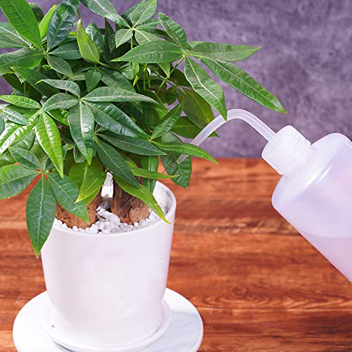 CVNDKN 3pcs 500ml Plastic Safety lab Wash Bottle,Squeeze Bottle with Scale Labels (16 oz/3 Bottle).