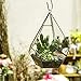 NCYP Hanging Glass Geometric Terrarium for Succulent - 6.8