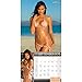 2015 Sports Illustrated Swimsuit Wall Calendar Trends International