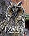 Owls