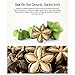 Our Story (Woori-ga)Roasted Star Seed Sacha inchi[Thailand] (8.8 oz X 2packs) Nuts/ Source of Omega 3,6 /Super Food/우리가 사차인치/印加果 sold by Stylebang