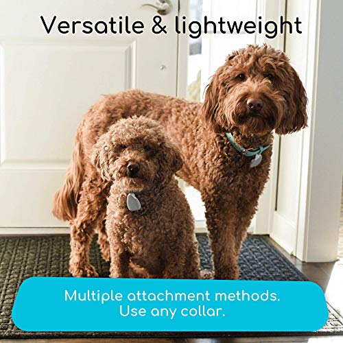 Jiobit Pet/Child Tracker Live Location Monitoring for Dogs and Cats of Any Size Small