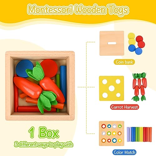 Comius Sharp 4 in 1 Wooden Montessori Toys - Coin Box, Carrot Collection, Sticks for Color Matching and Motor