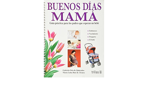 Buenos Dias Mama Good Morning Mom Guia Practica Para Los Padres Que Esperan Un Bebe A Practical Guide For Expecting Parents Spanish Edition Quizanos Gabriela Oria De Amazon Com Books