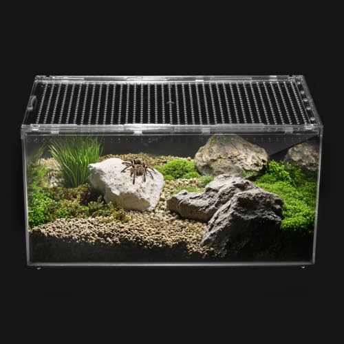 Clioran Reptile PC Tank