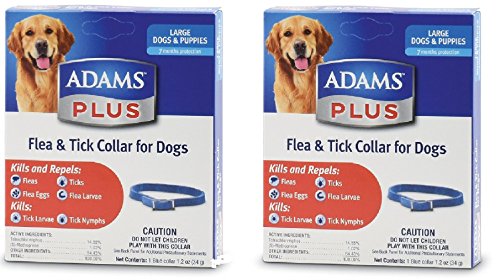 (2 Pack) Flea & Tick Collar for Dogs, Size Large (2 Pack) Flea & Tick Collar for Dogs, Size Large