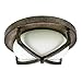 HomeSelects 6162 Industrial Chic Flush Mount Ceiling Light, Burnished Bronze with Opal Glass Globe, 12